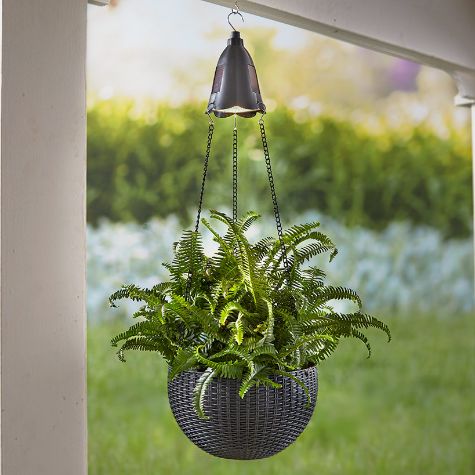 Hanging Basket Planter with Solar Light - Black