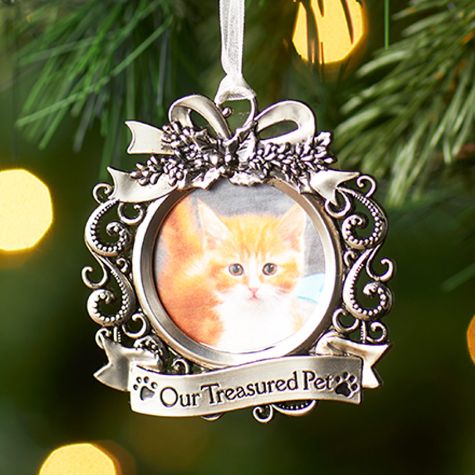 Memorial Frame Ornaments - Pet