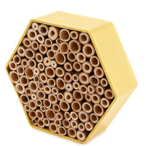Insect Houses - Bee