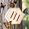 Insect Houses - Butterfly