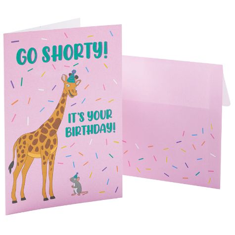 48-Pc. Humorous All-Occasion Card Sets