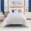 Starfish Comforter Set or Pillow