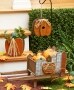 Fall Blessings Pumpkin Collection