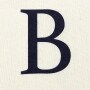 Monogram Storage Bins with Handles - B