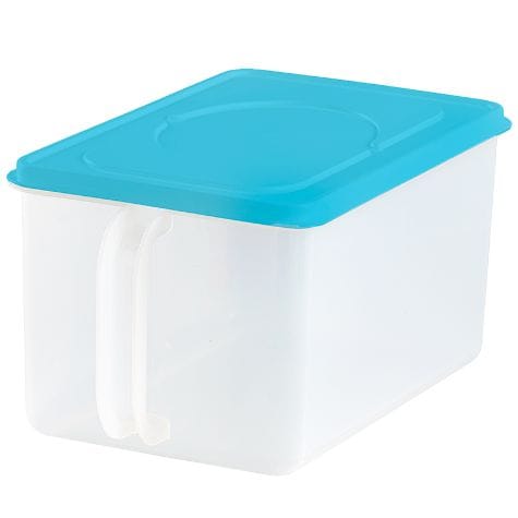 Clear Storage Containers with Handles