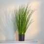 Artificial Forever Plants - Grasses