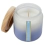 14-Oz. Ombre Frosted Scented Jar Candles - Hyacinth