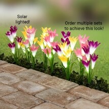 Set of 3 Solar Lily Garden Lights