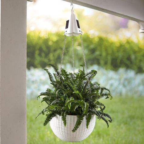 Hanging Basket Planter with Solar Light - White