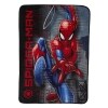 Licensed Character Throw Blankets