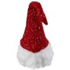 Lighted Christmas Gnome Accents