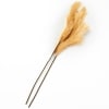 Natural Hays and Grasses Home Accents - Natural Set of 2 Picks