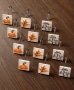 Plaid Pumpkin Bathroom Collection - Set of 12 Shower Hooks