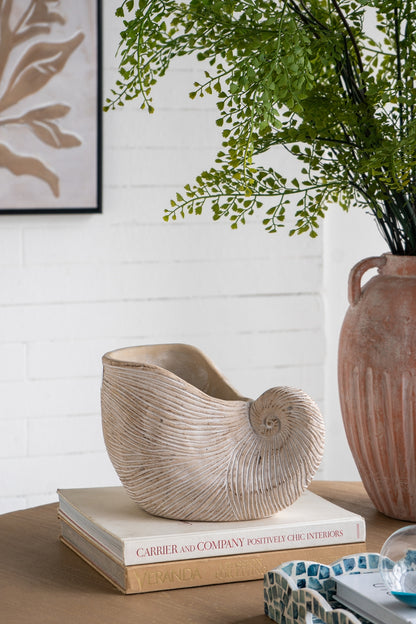 8.5x5.5x6.3" Sand and Cement Nautilus Shell Planter with Textured Beige Finish - image 11