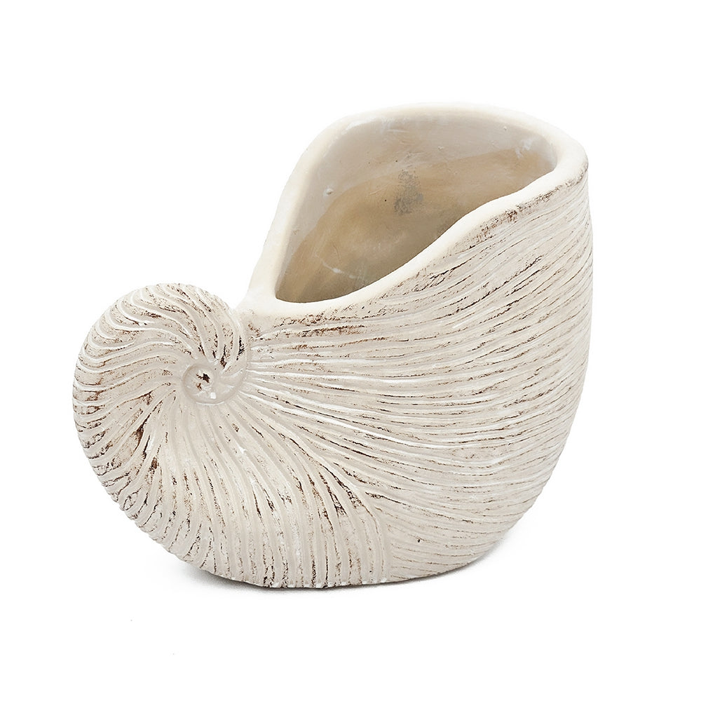 8.5x5.5x6.3" Sand and Cement Nautilus Shell Planter with Textured Beige Finish - image 7