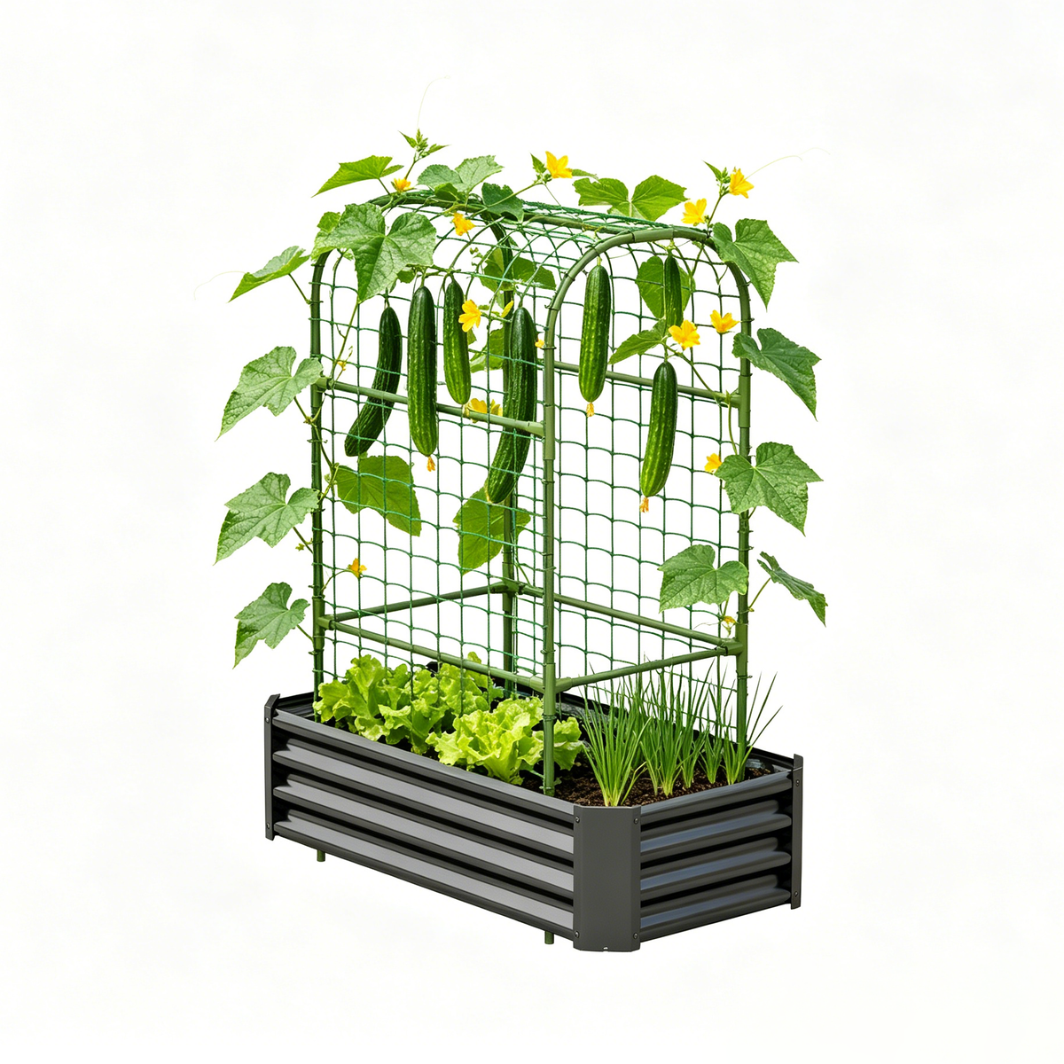 2-in-1 Raised Garden Bed with Trellis - 59" Tall Arch Planter Box for Climbing Plants, Outdoor Galvanized Metal Gardening Bed for Vegetables, Fruits, Flowers (Black, 4x2x1 Ft) - image 9