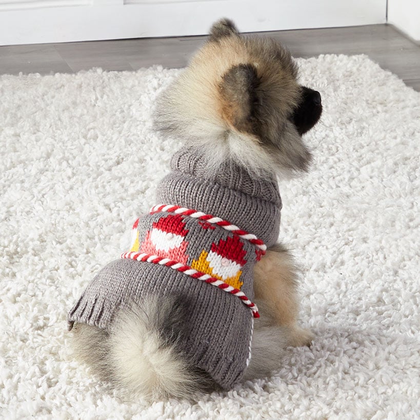 Gnome Pet Sweater