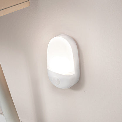 Motion Sensor Light