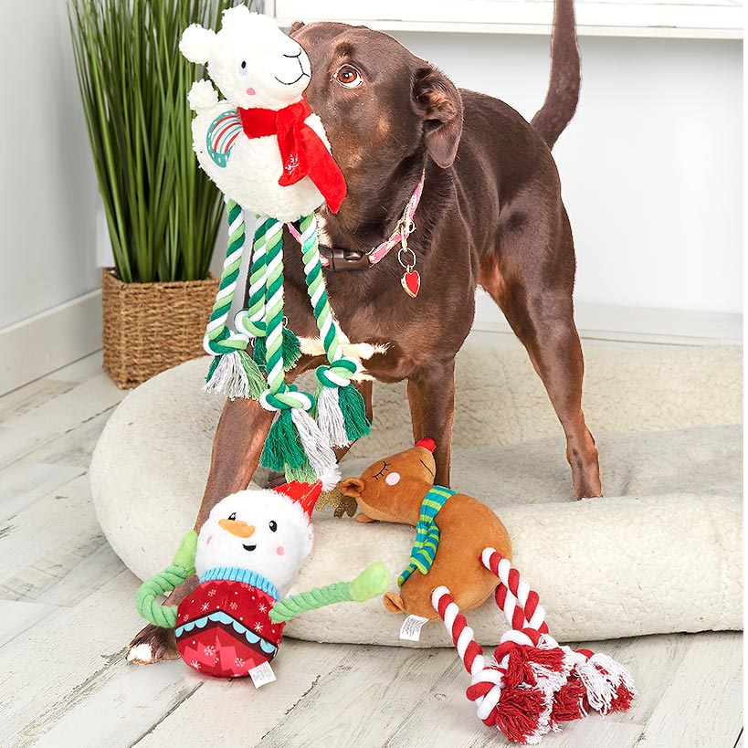 Plush and Rope Dog Toys