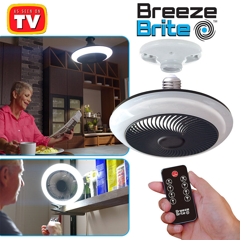 Breeze Brite Fan with LED Light