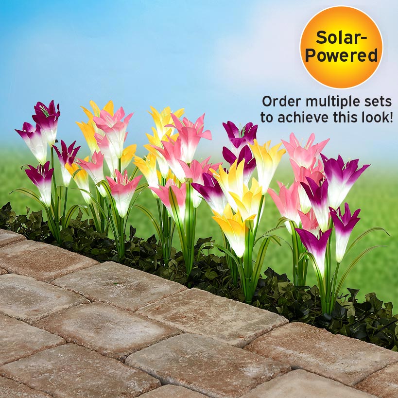Solar Lily Garden Lights – Set of 3 Pink, Purple, and Yellow