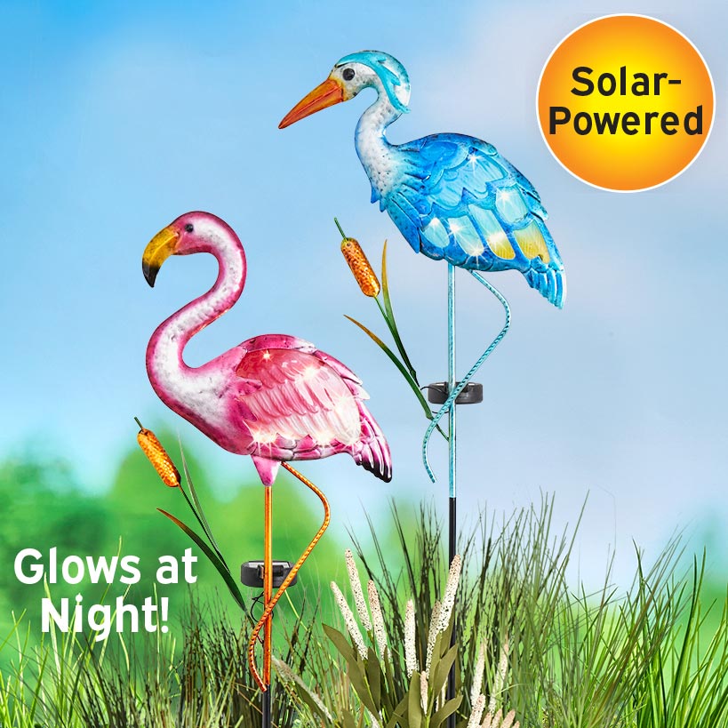 Solar Bird Garden Stake