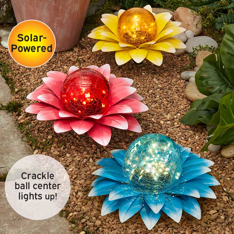 Solar Gazing Ball Blooming Flowers