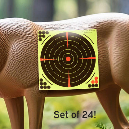 Set of 24 Bullseye Splatter Targets