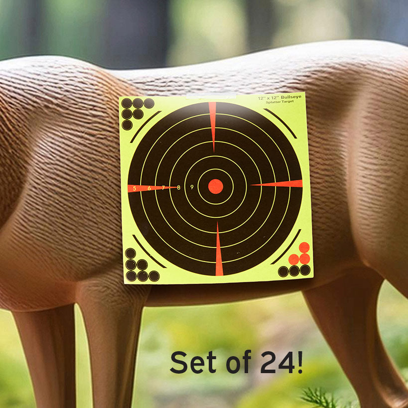 Set of 24 Bullseye Splatter Targets