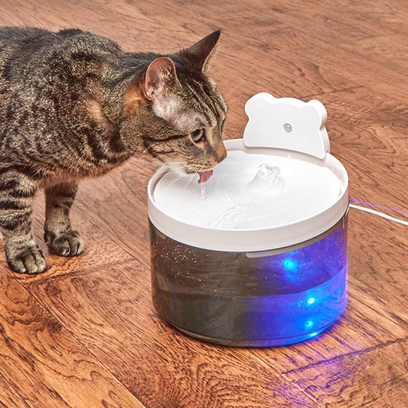 Pet Water Fountain