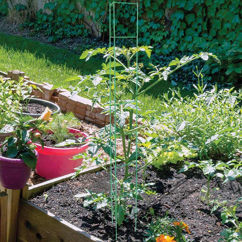 6-Pc. 57" Tomato Ladder