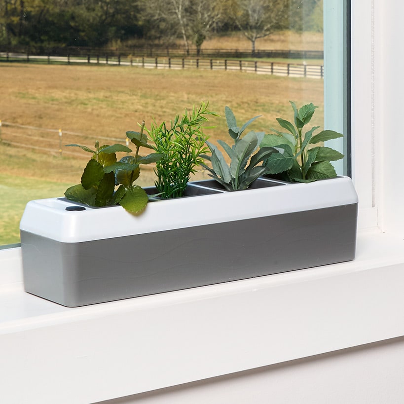 Windowsill Herb Planter - Self Watering