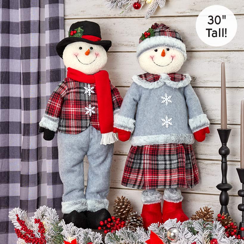 Adorable Snowman or Snowgirl