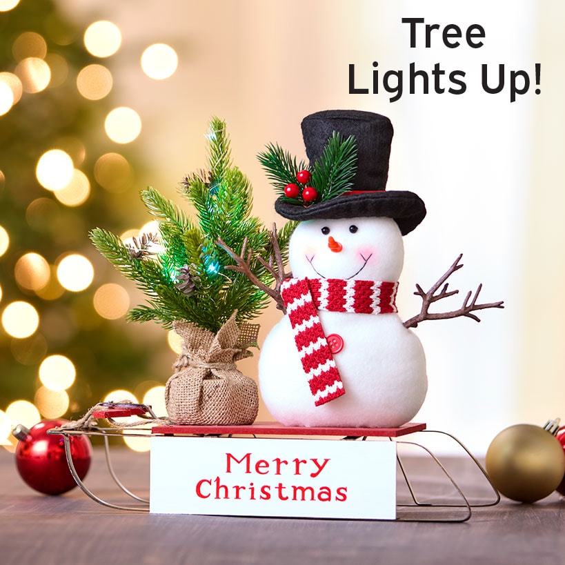 Snowman on Sled with Lighted Tree