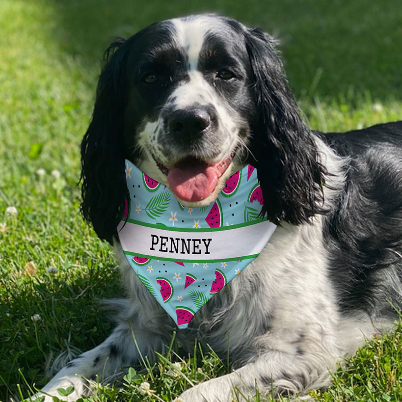 Personalized Dog Bandana Watermelon