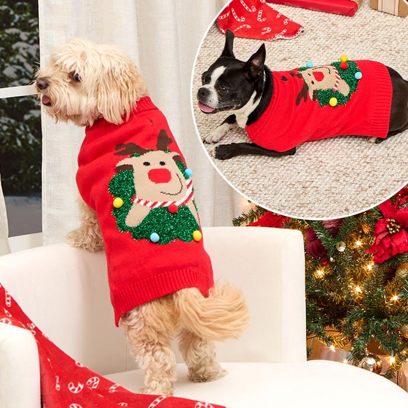 Ugly Christmas Dog Sweater