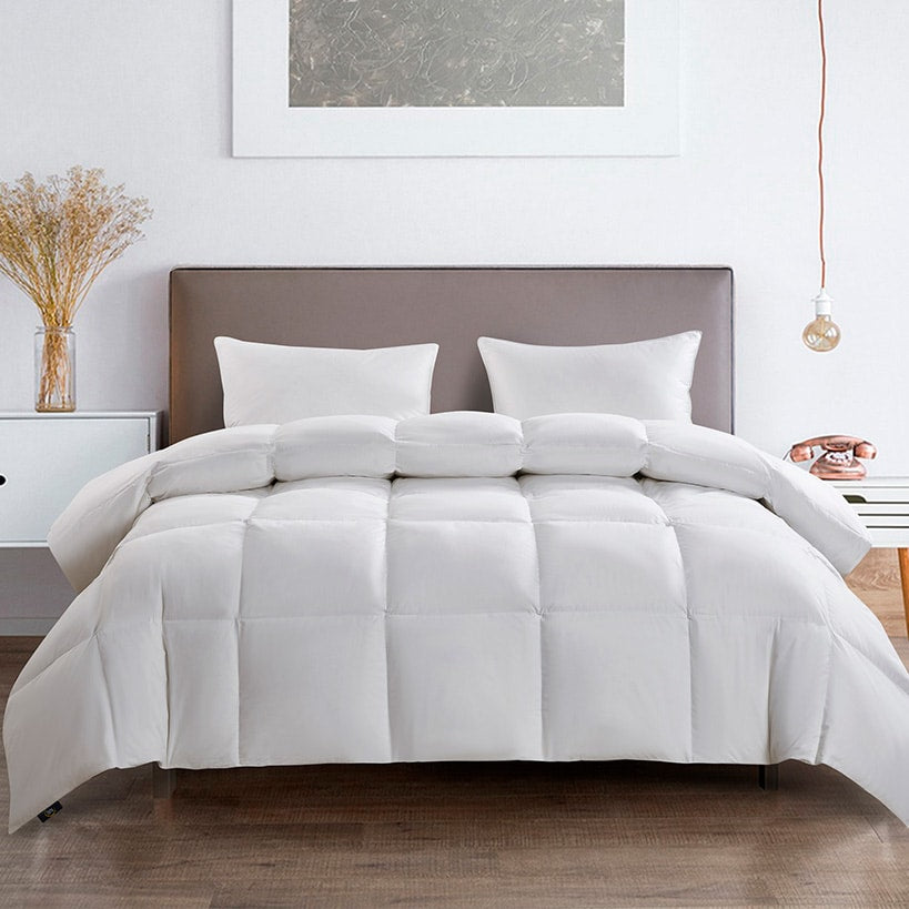 Serta Light Warmth 233-Thread Count Goose Feather and Down Comforter