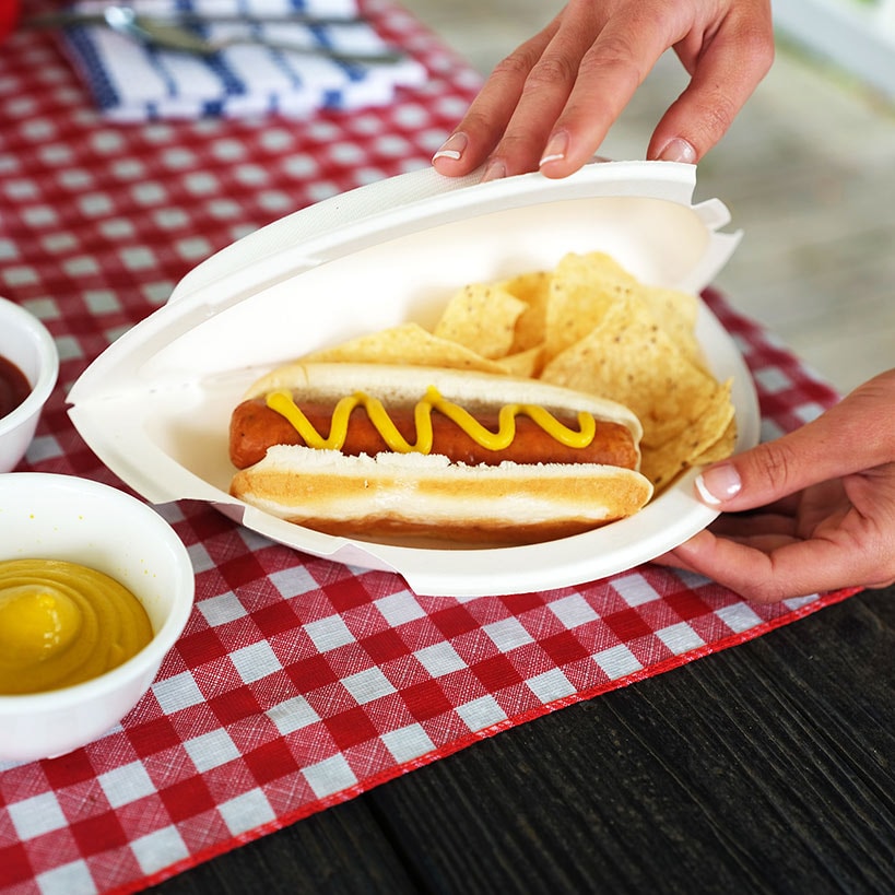 25-Pk. Foldable Perfect Plate