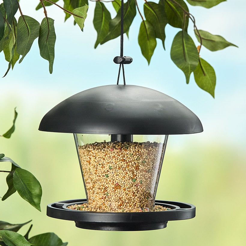 Hanging Bird Feeder With Round Black Cover And Platform
