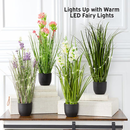 Lighted Flower Indoor Potted Plant