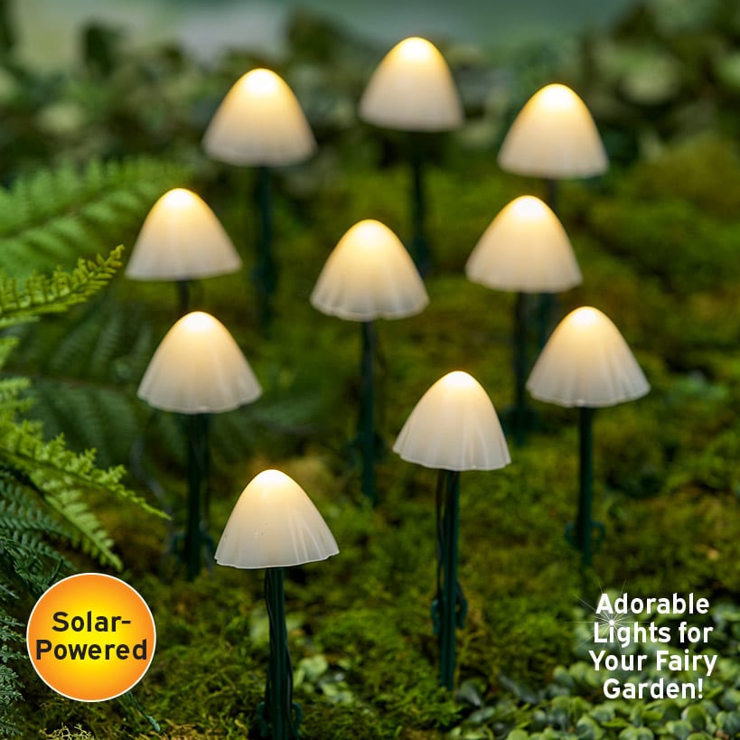 Solar Mushroom 2 In 1 String Lights With Stakes