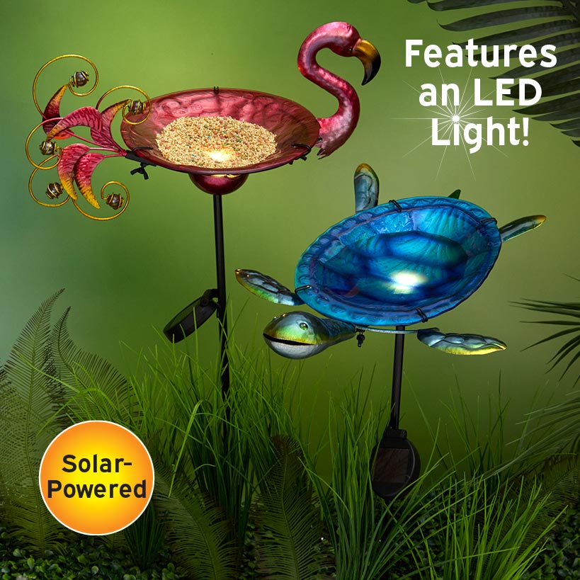 Outdoor Solar Birdbath and Feeder with Stake Turtle or Flamingo