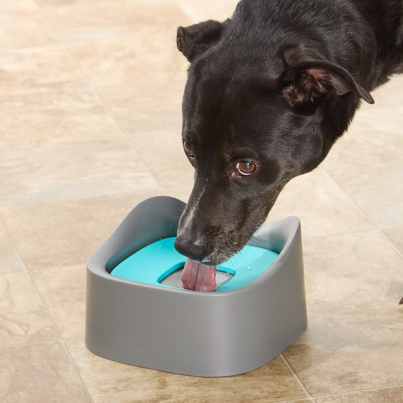 Pet-Able™ No Spill Dog and Cat 35 Oz Water Bowl Reduces Spills