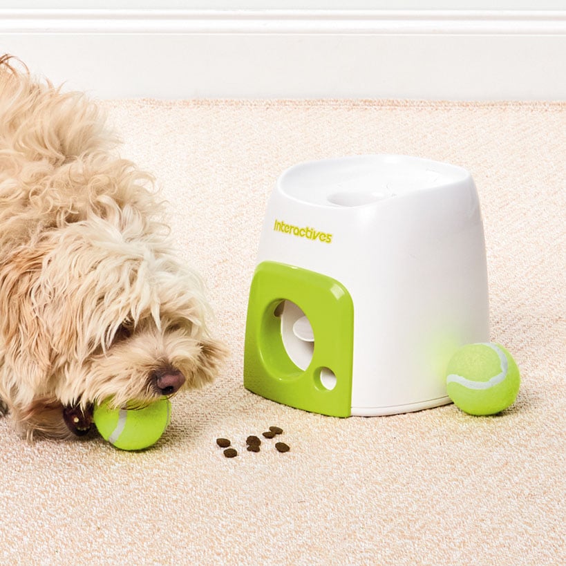 Interactives™ Fetch ‘N Treat Dog Ball Reward Toy