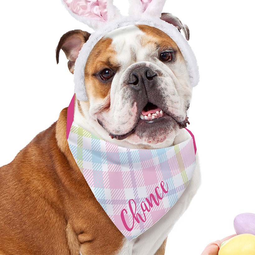 Personalized Pet Bandana Spring Plaid