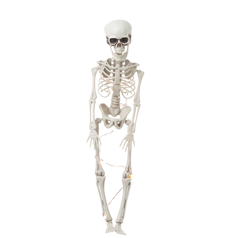 Halloween Skeleton Poseable Lighted Decor 16 Inch 35 Inch and 65 Inch