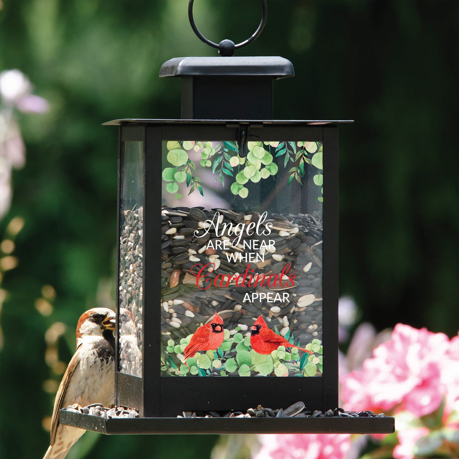When Cardinals Appear Bird Feeder