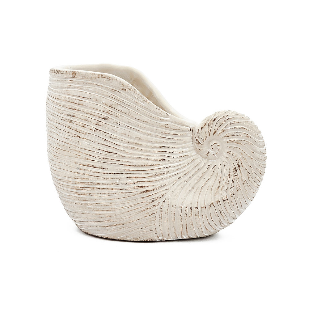 8.5x5.5x6.3" Sand and Cement Nautilus Shell Planter with Textured Beige Finish - image 4