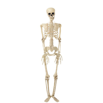 Halloween Skeleton Poseable Lighted Decor 16 Inch 35 Inch and 65 Inch