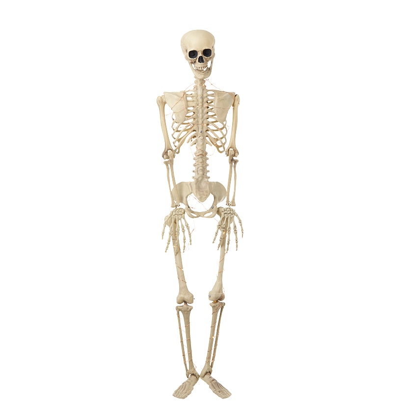 Halloween Skeleton Poseable Lighted Decor 16 Inch 35 Inch and 65 Inch